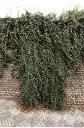 Photo of Mixed Textures